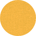 Color Icon