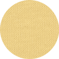 Color Icon