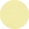 Color Icon