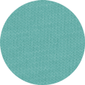 Color Icon