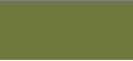 Color Icon