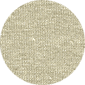 Color Icon