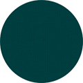 Color Icon