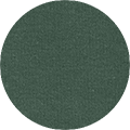 Color Icon