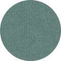 Color Icon
